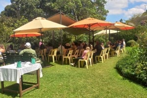 Coffee farm tour in nairobi with free pickup & drop off.