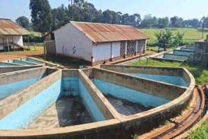 Nairobi: Fairview-Kaffeefarm-Tour mit Abholung