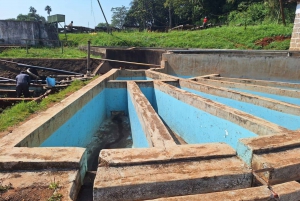 Nairobi: Fairview-Kaffeefarm-Tour mit Abholung