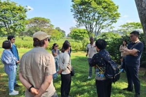 Nairobi: Fairview-Kaffeefarm-Tour mit Abholung