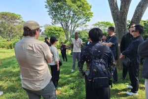 Nairobi: Fairview-Kaffeefarm-Tour mit Abholung