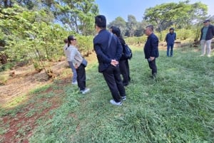 Nairobi: Fairview-Kaffeefarm-Tour mit Abholung