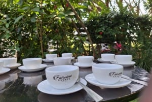 Nairobi: Fairview-Kaffeefarm-Tour mit Abholung