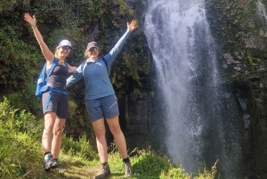 Conquiste o Monte Quénia: Trekking no Monte Quénia via Chogoria 4-5 dias