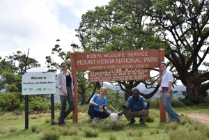 Conquiste o Monte Quénia: Trekking no Monte Quénia via Chogoria 4-5 dias