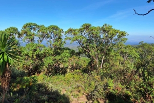 Conquiste o Monte Quénia: Trekking no Monte Quénia via Chogoria 4-5 dias
