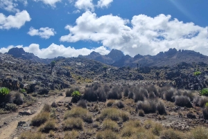 Conquiste o Monte Quénia: Trekking no Monte Quénia via Chogoria 4-5 dias