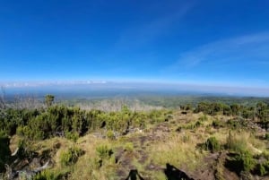 Conquer Mt. Kenya
