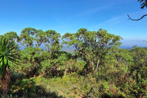 Conquer Mt. Kenya