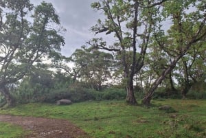 Conquer Mt. Kenya