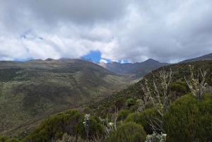 Conquer Mt. Kenya