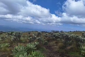Conquer Mt. Kenya