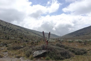 Conquer Mt. Kenya