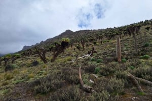 Conquer Mt. Kenya