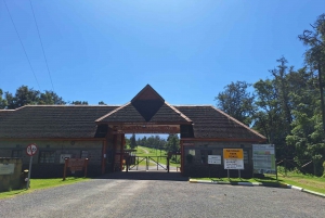 Conquer Mt. Kenya