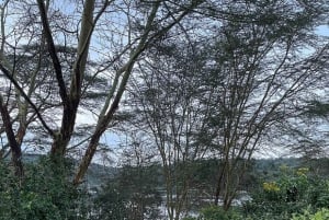 Dagstur til Crater Lake Game Sanctuary og Lake Naivasha