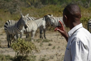 Dagstur til Crater Lake Game Sanctuary og Lake Naivasha