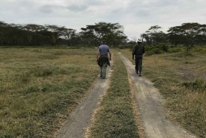 Dagstur til Crater Lake Game Sanctuary og Lake Naivasha