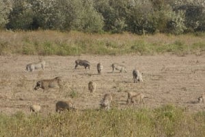 Dagstur til Crater Lake Game Sanctuary og Lake Naivasha