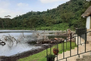 Excursión de 1 día al santuario de animales del lago del cráter y al lago Naivasha