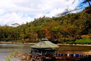 Excursión de 1 día al santuario de animales del lago del cráter y al lago Naivasha