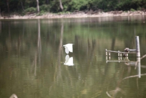 Excursión de 1 día al santuario de animales del lago del cráter y al lago Naivasha