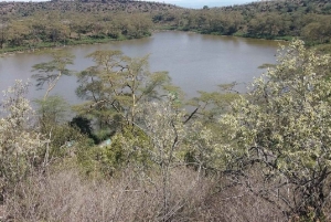 Excursión de 1 día al santuario de animales del lago del cráter y al lago Naivasha