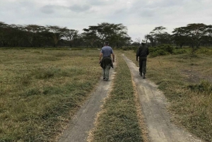 Excursión de 1 día al santuario de animales del lago del cráter y al lago Naivasha
