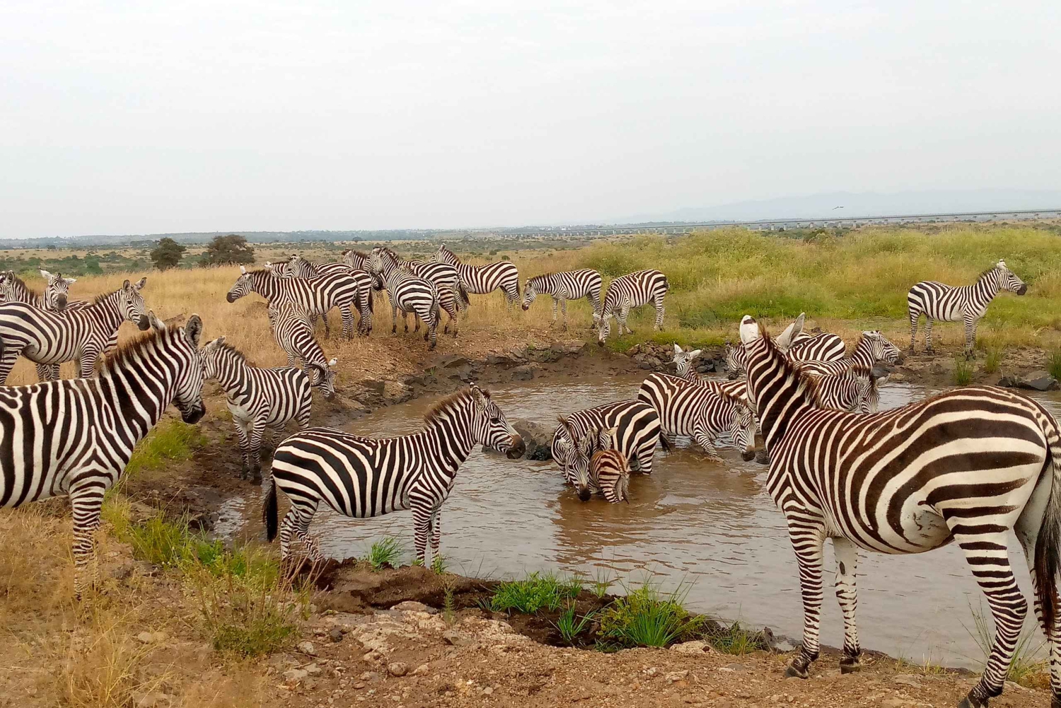 Gita di un giorno a Crescent Island e giro in barca