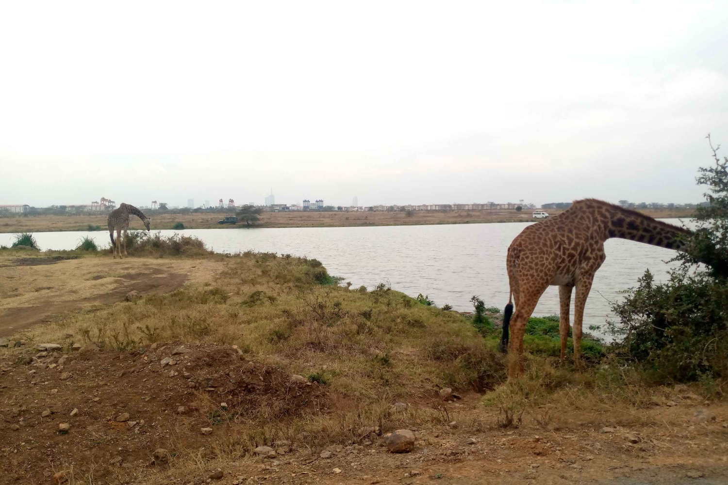 Gita di un giorno a Crescent Island e giro in barca