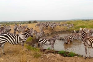 Crescent Island And Boat Ride Day Trip