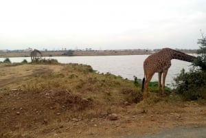 Crescent Island And Boat Ride Day Trip