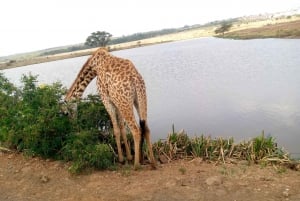 Crescent Island And Boat Ride Day Trip