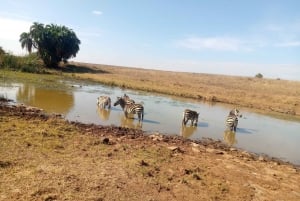 Crescent Island And Boat Ride Day Trip