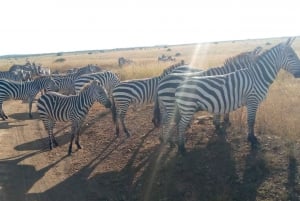 Crescent Island And Boat Ride Day Trip