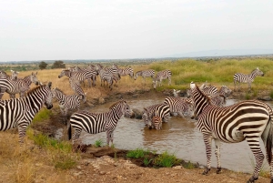 Gita di un giorno a Crescent Island e giro in barca