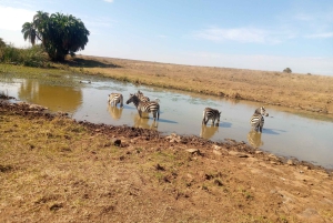 Gita di un giorno a Crescent Island e giro in barca