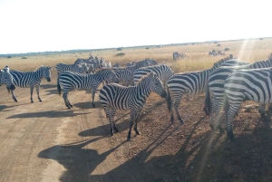 Gita di un giorno a Crescent Island e giro in barca