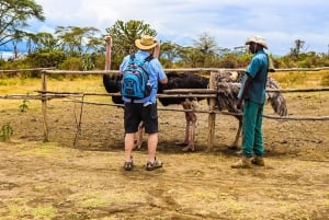 Wyspa Crescent i jezioro Naivasha: safari piesze