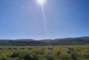 Diario Parque Nacional Hell's Gate Ciclismo en bicicleta eléctrica