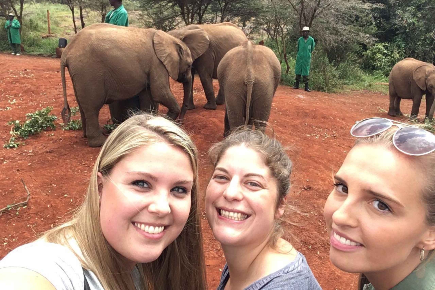 Daphne Sheldrick Elephant Orphanage & Giraffe Centre Tour