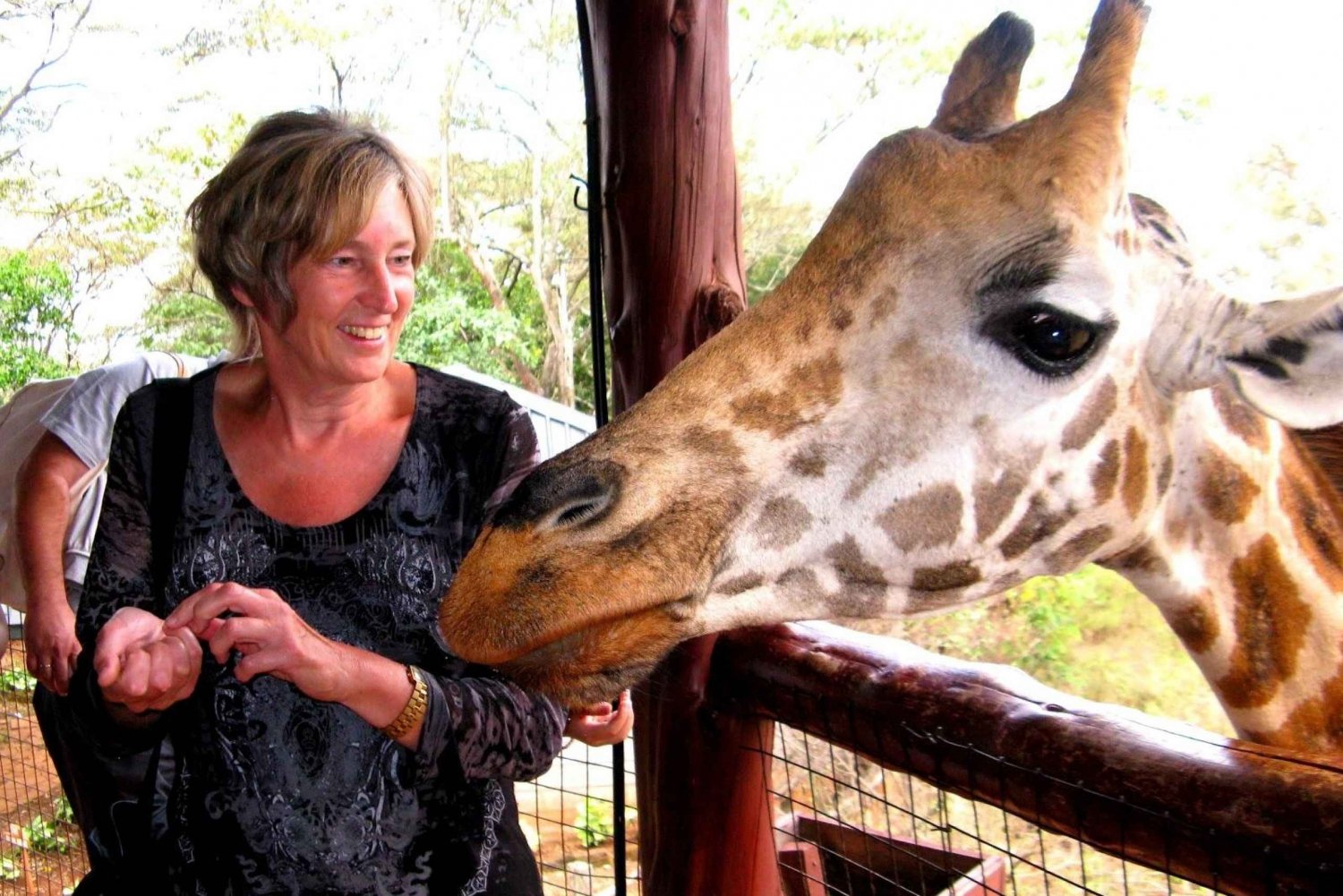 デビッド シェルドリック野生動物トラストとキリン センター ツアー