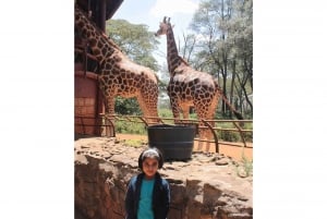Tour del David Sheldrick Wildlife Trust e del Giraffe Center