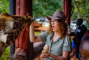 David Sheldrick Wildlife Trust & Giraffe Center with Lunch