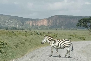 CAŁODNIOWA WYCIECZKA - JEZIORO NAIVASHA I PARK HELL'S GATE - Z OPŁATAMI ZA PARK