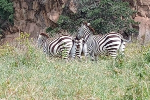 CAŁODNIOWA WYCIECZKA - JEZIORO NAIVASHA I PARK HELL'S GATE - Z OPŁATAMI ZA PARK