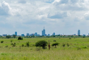 Day Tour Nairobi National Park, Elephant and Giraffe center