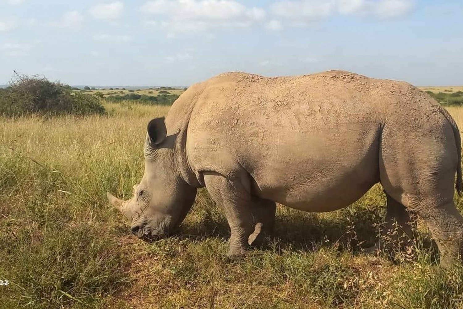 TOUR DI UN GIORNO DEL PARCO DI OL PEJETA DA NAIROBI.