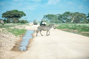 Nairobi: Dagsutflykt till Amboseli nationalpark och Maasai Village