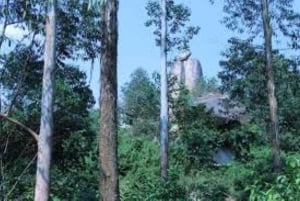 Tagestour zum Weinenstein ab Kisumu